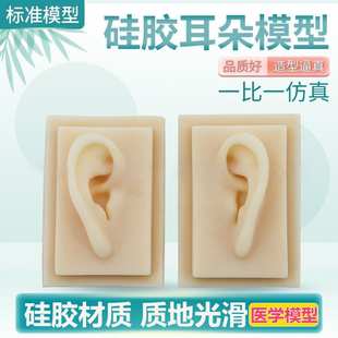 硅胶耳朵模型仿真耳朵耳钉展示耳模助听展示道具硅胶耳(左耳)五官