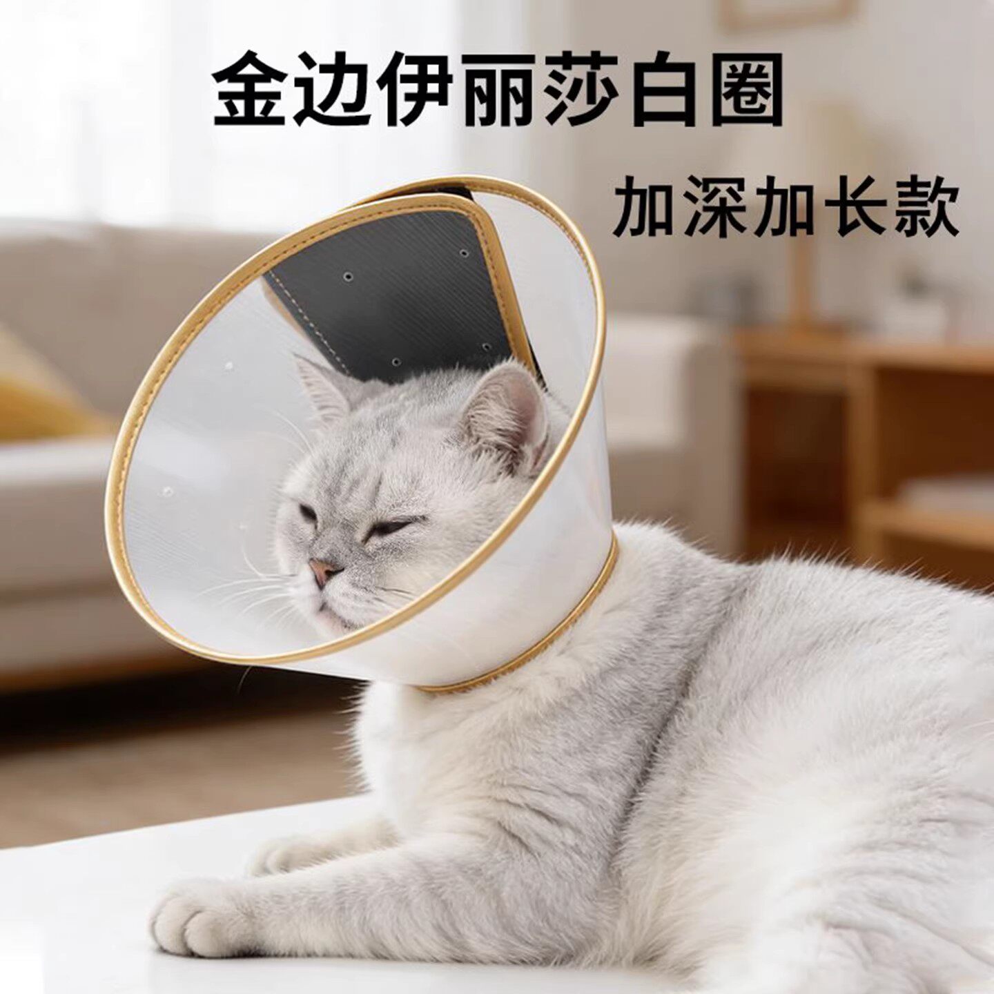 猫咪伊丽莎白圈术后防舔脚抓挠加长加深硬质耻辱圈狗防咬伤口透明