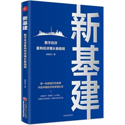 正版 新基建(数字经济重构经济增长新格局) 袁国宝 宁波新华书店品质保障