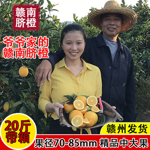友鲜水果18.5江西正宗赣南脐橙