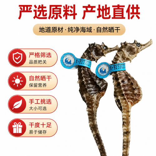正品海马干货公母配对泡酒汤包