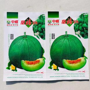 蔬菜瓜果甜瓜种子大全青皮青肉香瓜种籽甜禧28香瓜种大田可种高产