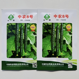 蔬菜瓜果四季黄瓜种子中农8号黄瓜种籽一代杂交黄瓜种高产大田种