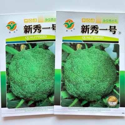 蔬菜瓜果西兰花种子大全青花椰菜种籽新秀一号杂交西兰花籽种高产