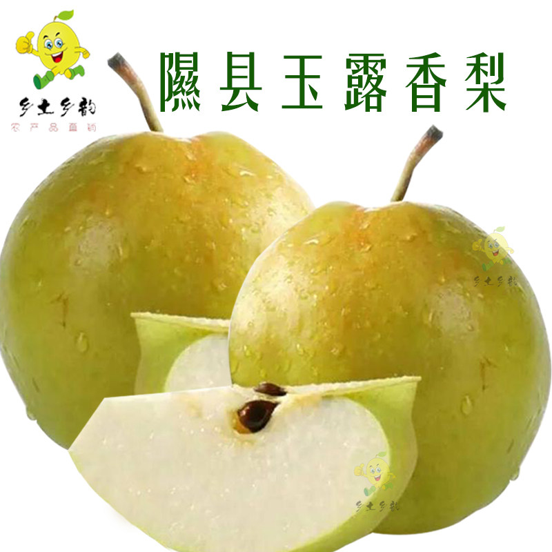 隰县玉露香梨山西特产小西天产地梨