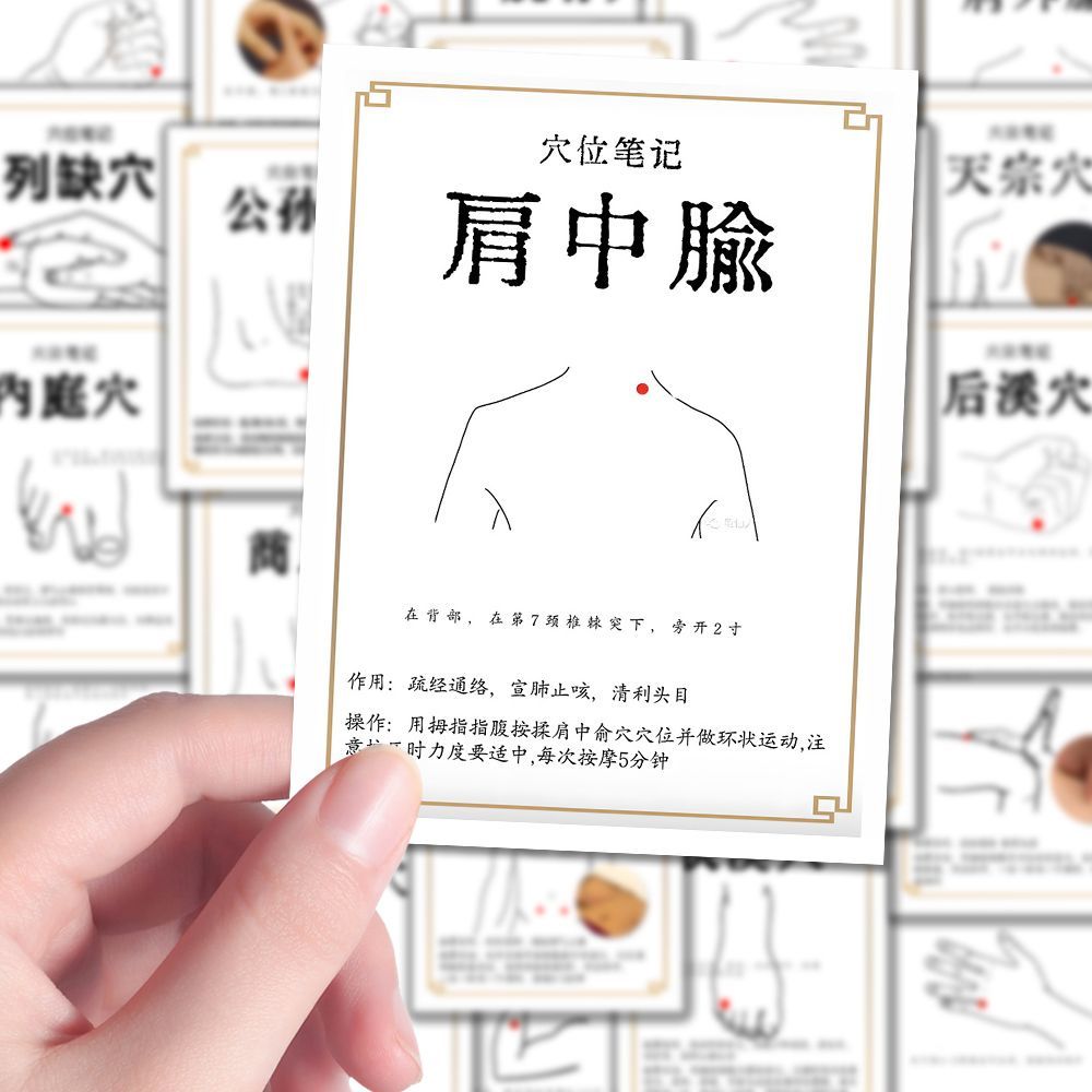 传统中医养生穴位教学科普贴纸手账素材自粘贴diy装饰手机壳贴画