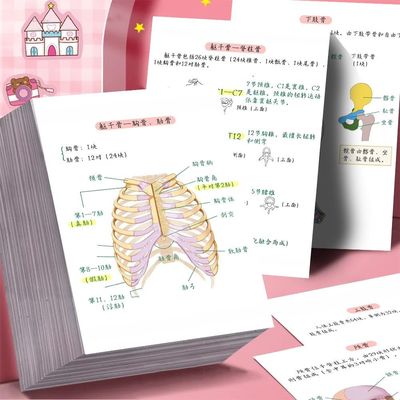 人体208块骨头解剖学笔记医学生临床医学知识桌面平板墙面diy贴纸