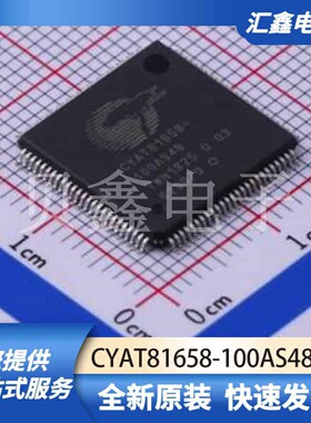 ADCDAC数据转换 CYAT81658-100AS48 原装正品 TQFP-100