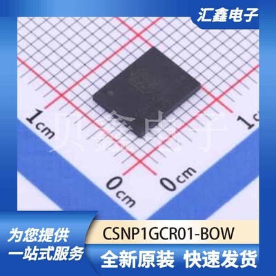 CSNP1GCR01-BOW 原装正品 LGA-8(6x8)