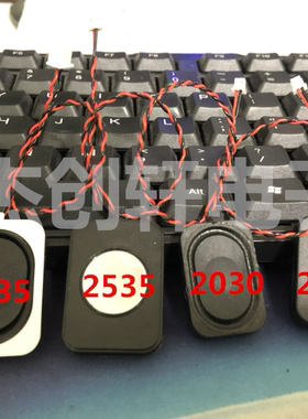 2030腔体-4Ω3W/8Ω2WBOX蓝牙音响扬声器安防喇叭 带1.25端子