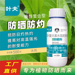 叶夫植物防晒抗蒸腾剂树木花卉液防失水减少水蒸发大树移栽保水剂