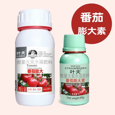 番茄专用膨大素叶夫西红柿膨大剂