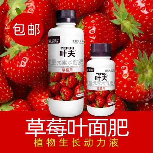 叶夫草莓用叶面肥氨基酸螯合