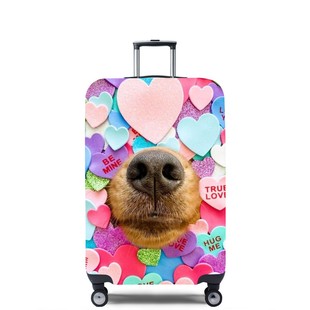 动物Z50狗狗鼻子弹力箱套拉杆箱旅行旅游登机行李皮箱保护罩防尘