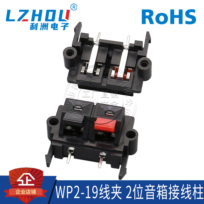 2位接线柱利洲电子两脚卧式