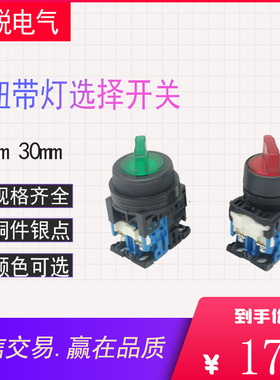 二三档带灯选择开关AR22PL-210E3G 11M3R AR30PL红色绿色旋钮自锁