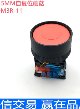 AR30M3R-11G 01R 10Y 11B S W 平头 按钮开关 自复位 外径45MM