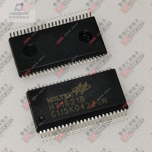 HT1621B HT1621 SSOP48 全新原装