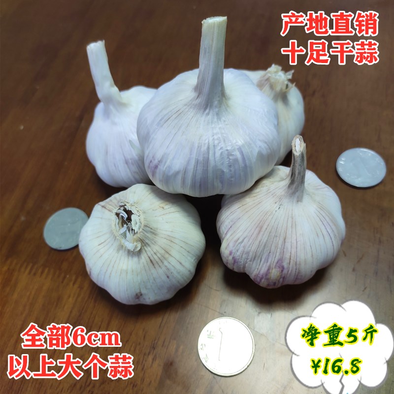 新干蒜新干蒜2023年6cm以上大蒜