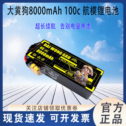 DAIWONGGAU6S8000mah锂电池