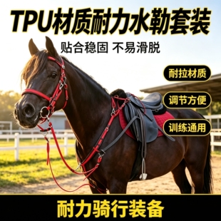 迪凯马具高端耐力赛水勒缰绳马胸带低头革一体整套马具马房马术用