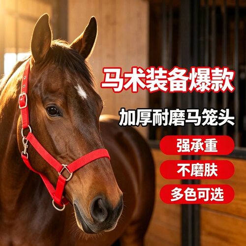 迪凯马具马术龙套牵引马具绳笼头合金配件调教龙头套拴马装备包邮