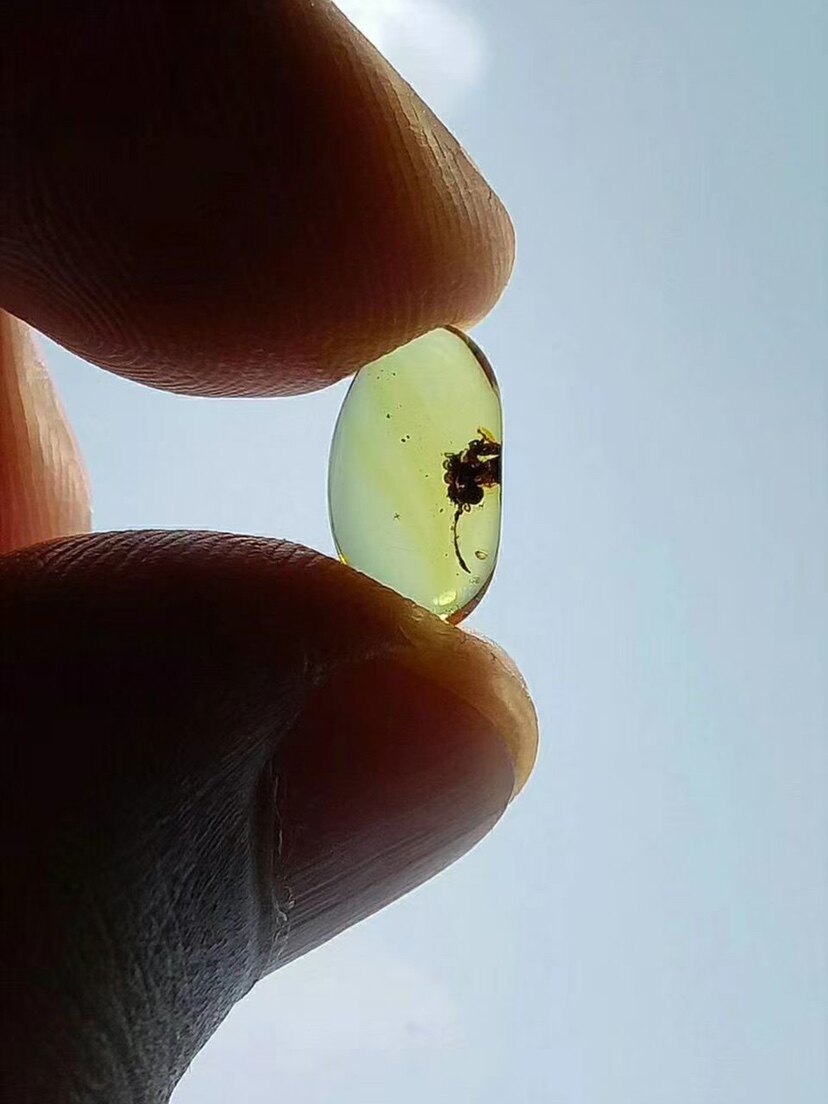 【素缘】缅甸纯天然虫珀吊坠0705 29琥珀带植物花朵标本挂件戒面