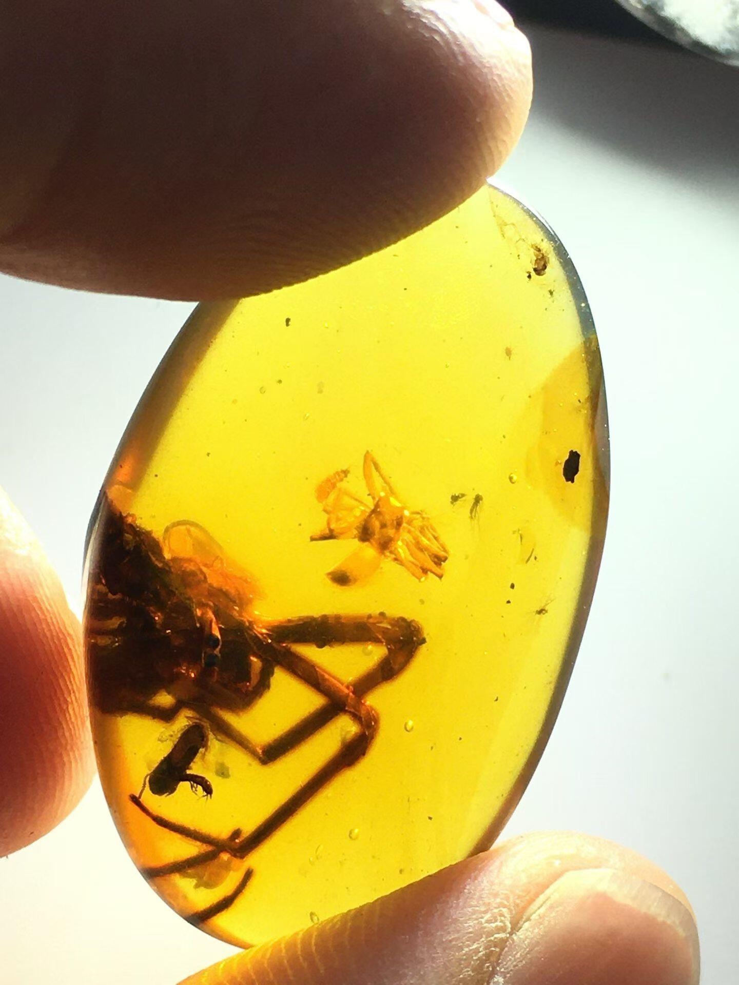 素缘缅甸天然虫珀吊坠0402琥珀带蜘蛛标本化石原矿坠子挂件