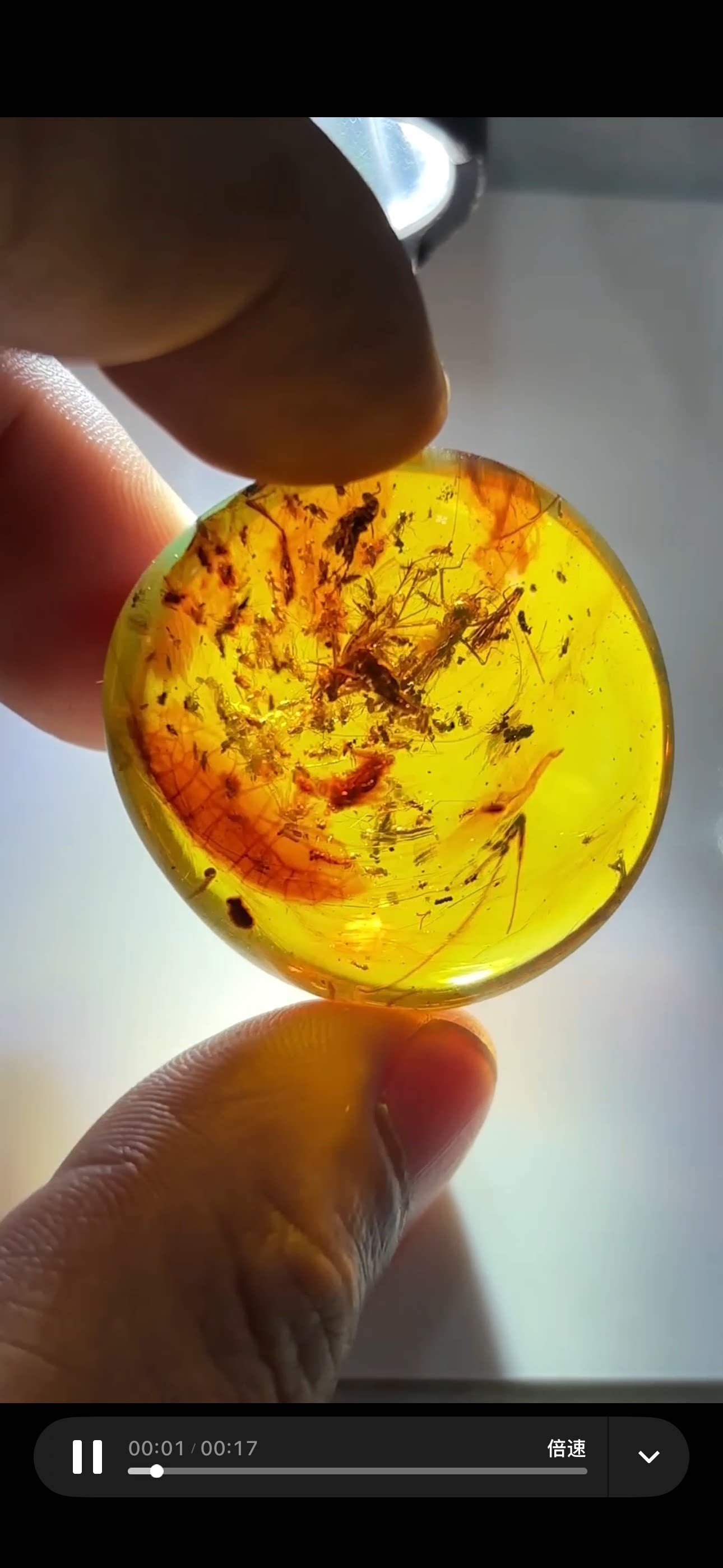 素缘缅甸天然虫珀吊坠0610琥珀带虫窝标本化石原矿坠子挂件