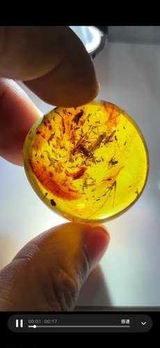 素缘缅甸天然虫珀吊坠0610琥珀带虫窝标本化石原矿坠子挂件