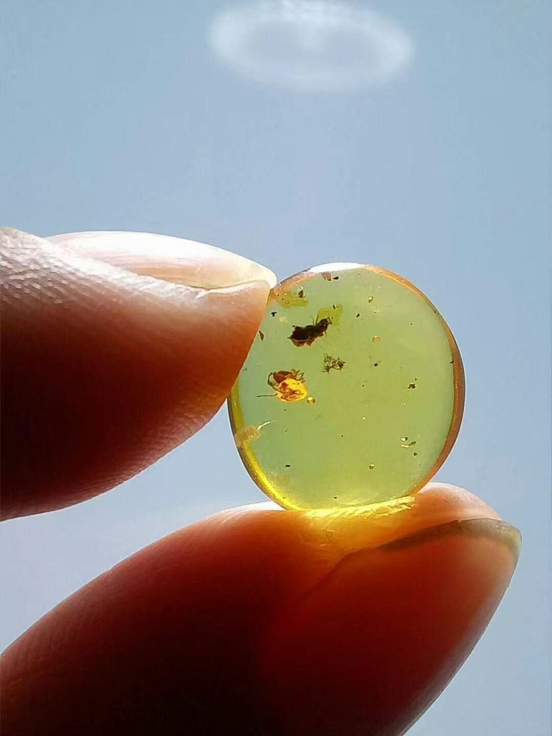 素缘缅甸天然虫珀吊坠0104 34琥珀带蜘蛛标本化石原矿坠子