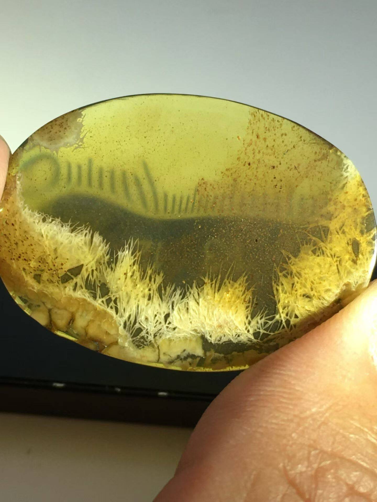 素缘缅甸天然虫珀吊坠0402琥珀带真菌标本化石原矿坠子