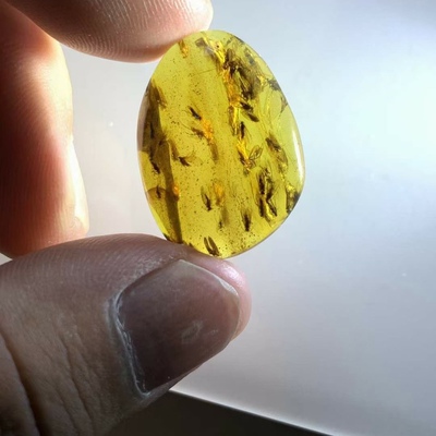 素缘缅甸天然虫珀吊坠0609 75琥珀带石蛾虫窝标本化石原石坠子