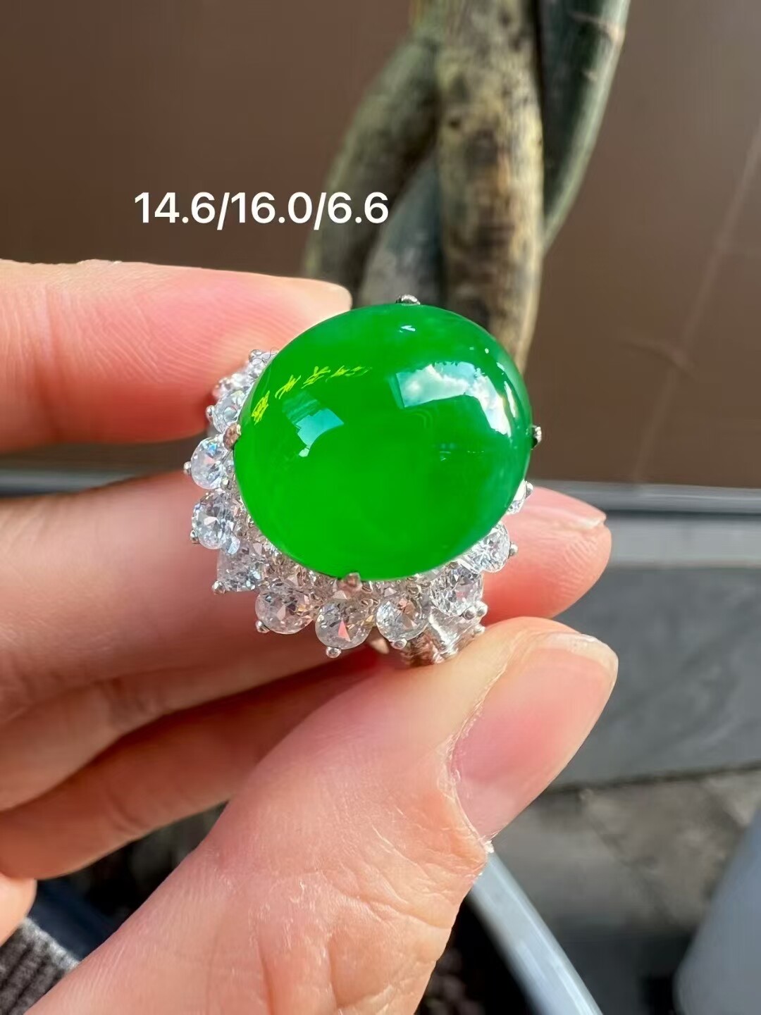精品翡翠冰种正阳绿戒面