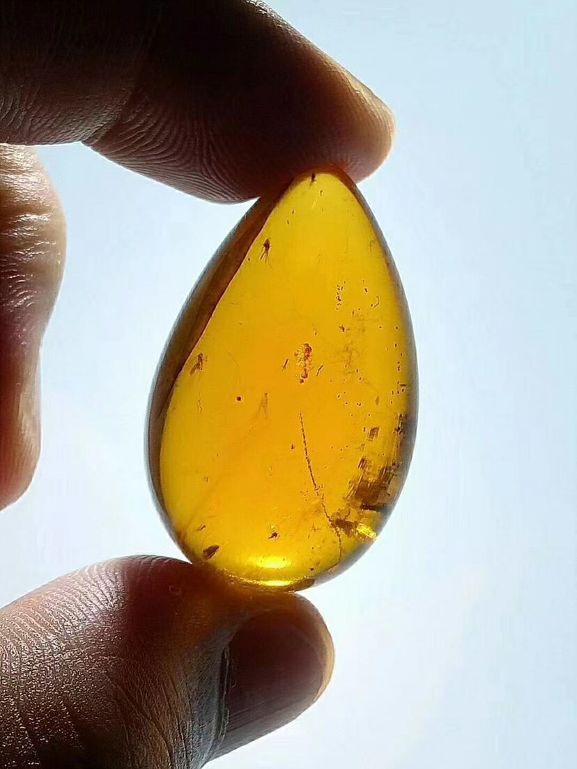 【素缘】缅甸纯天然虫珀吊坠0421 22琥珀带蚊子蜂标本挂件戒面