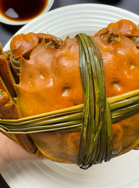 【精品公母】鲜活大闸蟹母3.8-4.2两公4.8-5.2两顺丰包邮