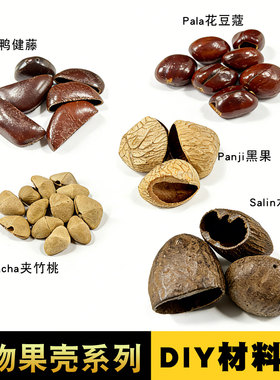 印尼黑果水铃桐夹竹桃DIY材料包