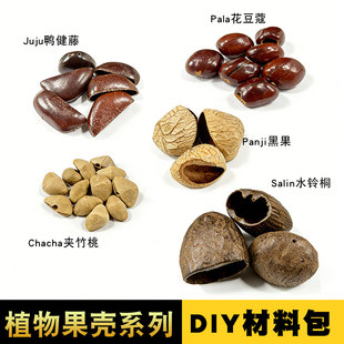 印尼黑果水铃桐夹竹桃鸭健藤花豆蔻果壳铃手工diy材料包风铃音疗