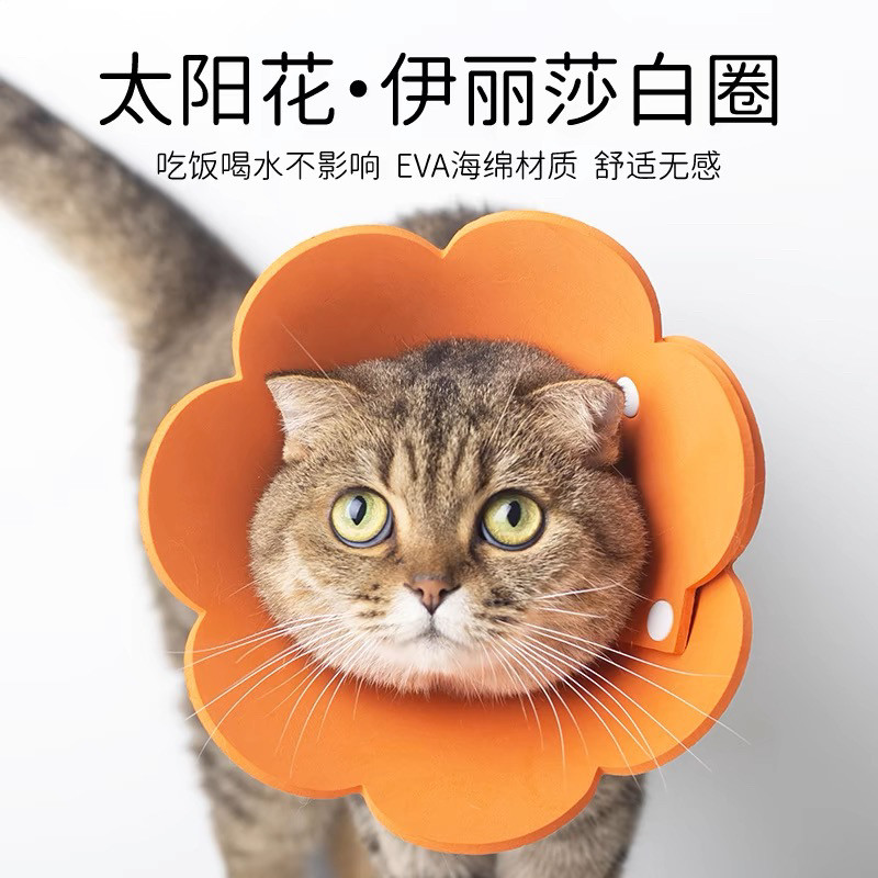 meoof太阳花伊丽莎白圈EVA海绵轻薄头套猫咪脖圈防舔耻辱圈绝育用,宠物/宠物食品及用品,宠物伊丽莎白圈,淘宝优惠券,粉丝福利购,淘宝优惠卷