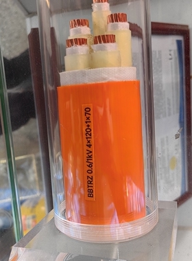 广州南洋电缆集团有限公司BBTRZ0.6/1KV4*120+1*70/3+1/3+25689力