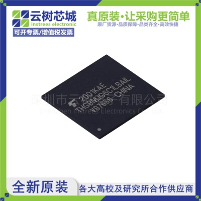 原装正品 THGBMJG6C1LBAIL BGA-153 eMMC存储芯片