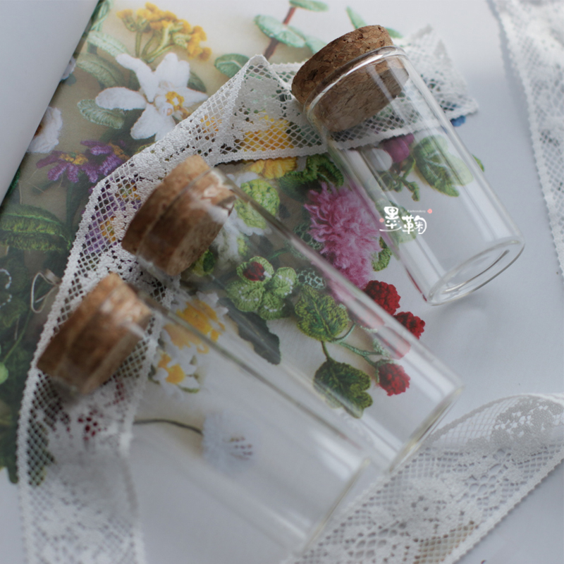 防尘玻璃瓶微钩立体透明花瓶试管