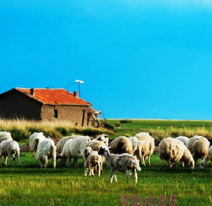 2025年内蒙古锡林郭勒旅游地图攻略(电子版)自由行交通旅行指南