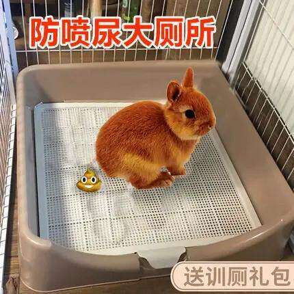 兔子厕所大号防喷尿围栏