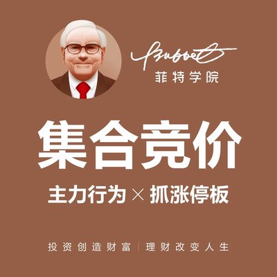 股票集合竞价系统涨停板打板主力行为盘口解密实战股票视频教程