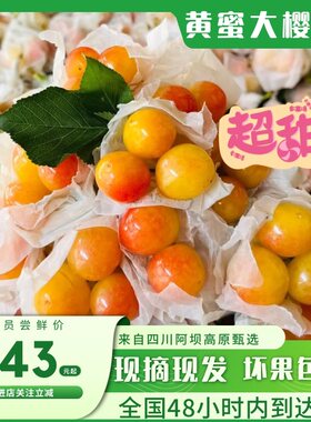 汶川车厘子樱桃黄蜜冰湖新鲜现摘