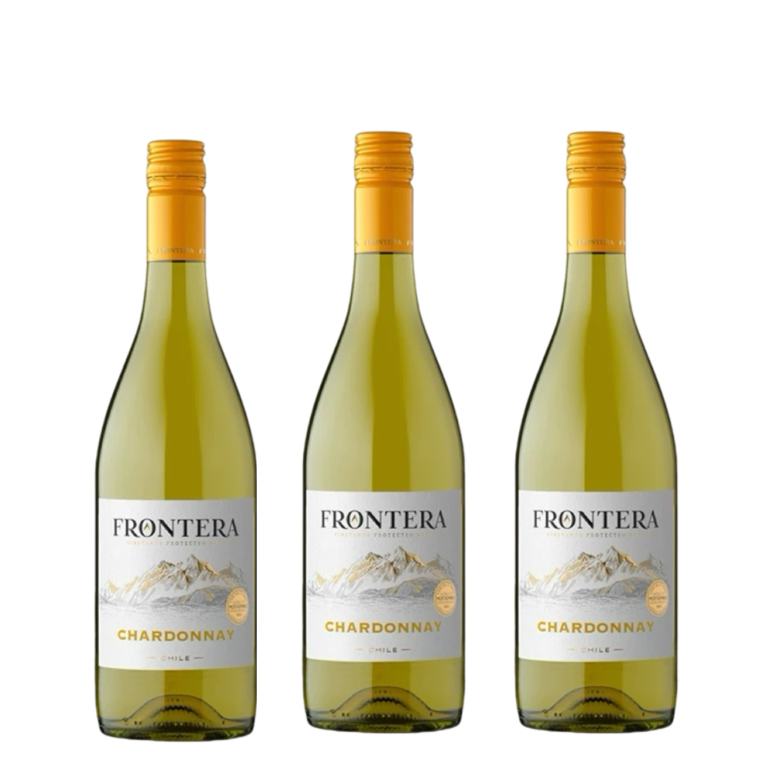 缘峰 霞多丽 夏多内白葡萄酒FRONTERA Chardonnay 750mlx3瓶