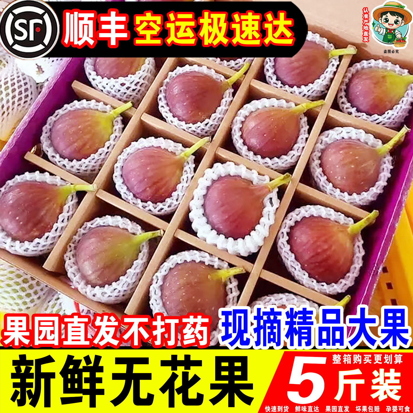 【顺丰空运】新鲜云南红皮无花果精选5斤大果新鲜应当季孕妇水果