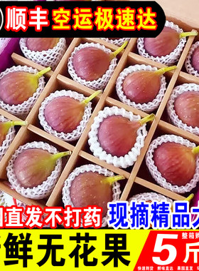 【顺丰空运】云南红皮无花果精选大果现摘应当季水果软糯香甜孕妇