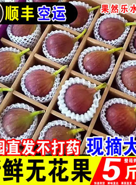 顺丰空运新鲜云南红皮无花果精选大果现摘儿童水果软糯应当季包邮
